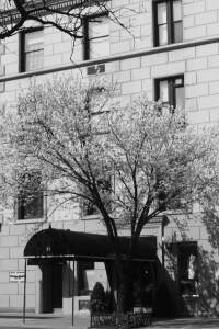 Processed with VSCO with b1 preset