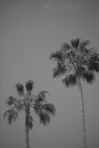 Processed with VSCO with x1 preset